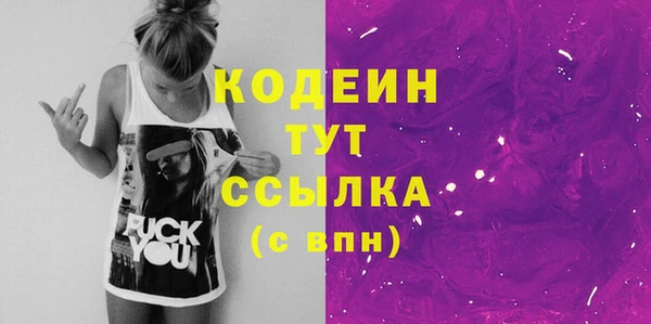 PSILOCYBIN Каменка