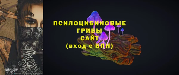 PSILOCYBIN Каменка