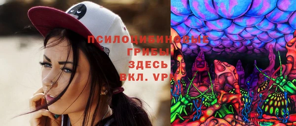 гидропоника Каменногорск