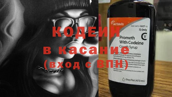 PSILOCYBIN Каменка