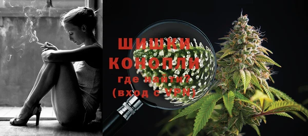 PSILOCYBIN Каменка