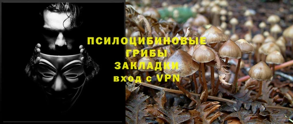 гидропоника Каменногорск