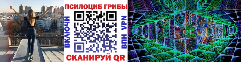 Псилоцибиновые грибы MAGIC MUSHROOMS  Купить где  Берёзовка 